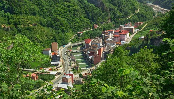 Dernekpazarı Marka Tescili