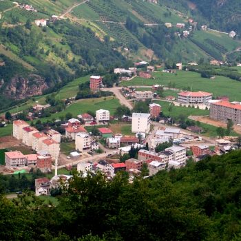 Düzköy Marka Tescili