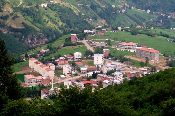 Düzköy Marka Tescili