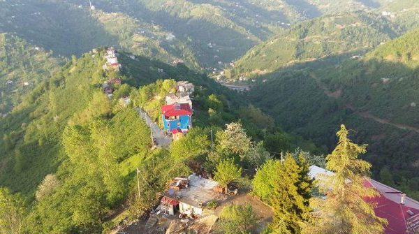 Çarşıbaşı Marka Tescili